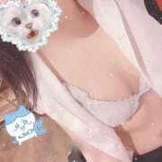 ヒメ日記 2026/04/26 13:18 投稿 藤白あめ Mrs. Dandy Shibuya