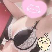 ヒメ日記 2026/07/02 16:08 投稿 藤白あめ Mrs. Dandy Shibuya