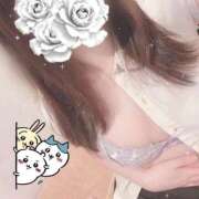 ヒメ日記 2026/07/20 20:28 投稿 藤白あめ Mrs. Dandy Shibuya