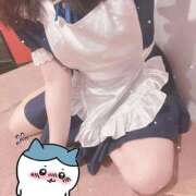 ヒメ日記 2026/04/03 17:19 投稿 藤白あめ Mrs. Dandy shinagawa