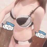 ヒメ日記 2026/04/11 20:09 投稿 藤白あめ Mrs. Dandy