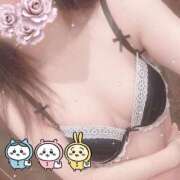 ヒメ日記 2026/04/13 17:49 投稿 藤白あめ Mrs. Dandy