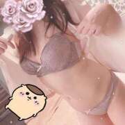 ヒメ日記 2026/05/01 21:37 投稿 藤白あめ Mrs. Dandy