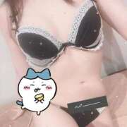 ヒメ日記 2026/05/14 14:48 投稿 藤白あめ Mrs. Dandy