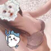ヒメ日記 2026/05/14 18:18 投稿 藤白あめ Mrs. Dandy