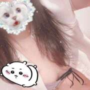 ヒメ日記 2026/05/21 14:58 投稿 藤白あめ Mrs. Dandy