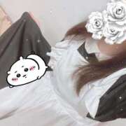 ヒメ日記 2026/07/24 11:59 投稿 藤白あめ Mrs.Dandy Maihama