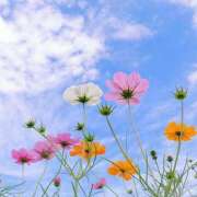 くりす ☺️ 熟女デリヘル秘宝館Z