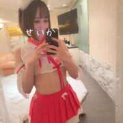 ☆せいか☆ 💌インパル60分🧸 100％本人が来る店！！デリヘル『ロイヤルフラッシュ』