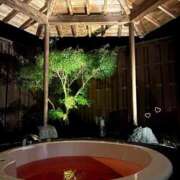 ヒメ日記 2025/11/19 14:46 投稿 あんな(22) タレント倶楽部プレミアム