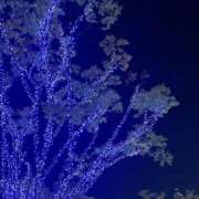 ヒメ日記 2025/12/11 12:08 投稿 あんな(22) タレント倶楽部プレミアム