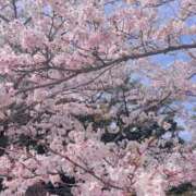 ヒメ日記 2026/04/09 17:30 投稿 あんな(22) タレント倶楽部プレミアム