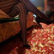 ヒメ日記 2025/12/17 21:18 投稿 翼(つばさ) 五十路エステハイブリッド(カサブランカグループ)