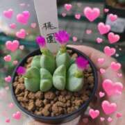 ヒメ日記 2026/03/10 11:23 投稿 めりな 君とふれ愛（本格回春）