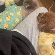 ヒメ日記 2025/11/04 20:12 投稿 しらす 熟女の風俗最終章 宇都宮店