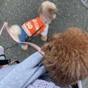 ヒメ日記 2025/11/17 22:12 投稿 しらす 熟女の風俗最終章 宇都宮店