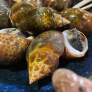 ヒメ日記 2025/11/27 12:19 投稿 しらす 熟女の風俗最終章 宇都宮店