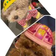 ヒメ日記 2025/12/07 13:48 投稿 しらす 熟女の風俗最終章 宇都宮店