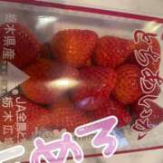 ヒメ日記 2026/03/11 12:51 投稿 しらす 熟女の風俗最終章 宇都宮店