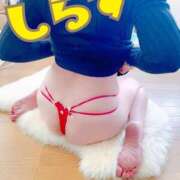 ヒメ日記 2026/03/23 06:31 投稿 しらす 熟女の風俗最終章 宇都宮店