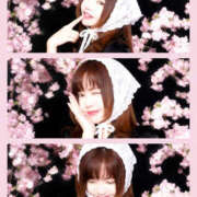 ヒメ日記 2026/04/04 09:41 投稿 しらす 熟女の風俗最終章 宇都宮店