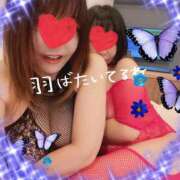 ヒメ日記 2026/05/20 09:32 投稿 しらす 熟女の風俗最終章 宇都宮店