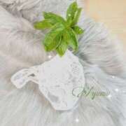 ヒメ日記 2025/10/26 15:35 投稿 あゆむ 奥鉄オクテツ東京店（デリヘル市場）