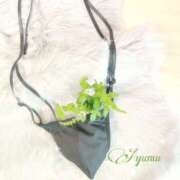 ヒメ日記 2025/11/01 21:00 投稿 あゆむ 奥鉄オクテツ東京店（デリヘル市場）