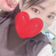 ヒメ日記 2025/11/13 09:15 投稿 おと　体験入店 夢の国デリランド