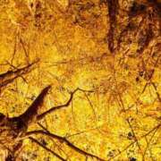 ヒメ日記 2025/10/28 10:15 投稿 和香【わか】 人妻日和(久喜)