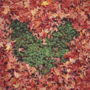 ヒメ日記 2025/11/01 22:36 投稿 和香【わか】 人妻日和(久喜)