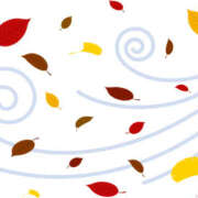 ヒメ日記 2025/11/10 16:39 投稿 和香【わか】 人妻日和(久喜)