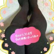 ヒメ日記 2025/12/18 10:02 投稿 和香【わか】 人妻日和(久喜)