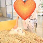 ヒメ日記 2025/11/20 07:05 投稿 あゆか 横浜熟女MAX