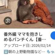 ヒメ日記 2026/02/16 09:35 投稿 あゆか 横浜熟女MAX