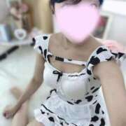 ヒメ日記 2026/01/24 13:54 投稿 ちなつ LOVE CLOVER（らぶくろーばー）