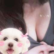 ヒメ日記 2025/10/25 23:12 投稿 あんず 小田原人妻城