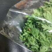 ヒメ日記 2026/04/23 21:53 投稿 山下めい セクシーキャット 神田店