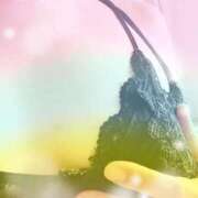 ヒメ日記 2025/10/27 08:43 投稿 かえで 熟女総本店 堺東店