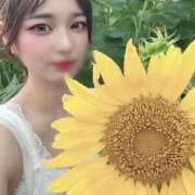 ヒメ日記 2025/11/06 15:22 投稿 じゅり ごほうびSPA上野店