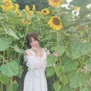 ヒメ日記 2025/11/17 10:52 投稿 じゅり ごほうびSPA上野店