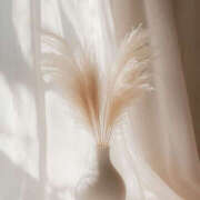 ヒメ日記 2025/10/24 19:16 投稿 姫野結菜 五十路マダムエクスプレス神戸店(カサブランカグループ)