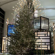 ヒメ日記 2025/12/08 08:42 投稿 姫野結菜 五十路マダムエクスプレス神戸店(カサブランカグループ)