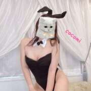 ヒメ日記 2025/11/17 12:00 投稿 ここみ奥様 川崎人妻ソープ Mint(ミント)