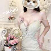 ヒメ日記 2025/11/24 12:05 投稿 ここみ奥様 川崎人妻ソープ Mint(ミント)