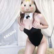 ヒメ日記 2025/11/27 12:01 投稿 ここみ奥様 川崎人妻ソープ Mint(ミント)