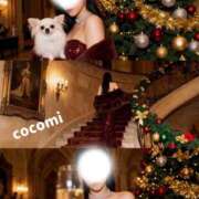 ヒメ日記 2025/12/04 12:00 投稿 ここみ奥様 川崎人妻ソープ Mint(ミント)