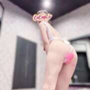 ヒメ日記 2026/02/22 16:01 投稿 ここみ奥様 川崎人妻ソープ Mint(ミント)