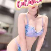 ヒメ日記 2026/03/02 08:01 投稿 ここみ奥様 川崎人妻ソープ Mint(ミント)