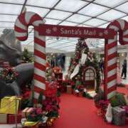 ヒメ日記 2025/11/26 11:40 投稿 うた VIVIDCREWマダムセカンドバージン 梅田店